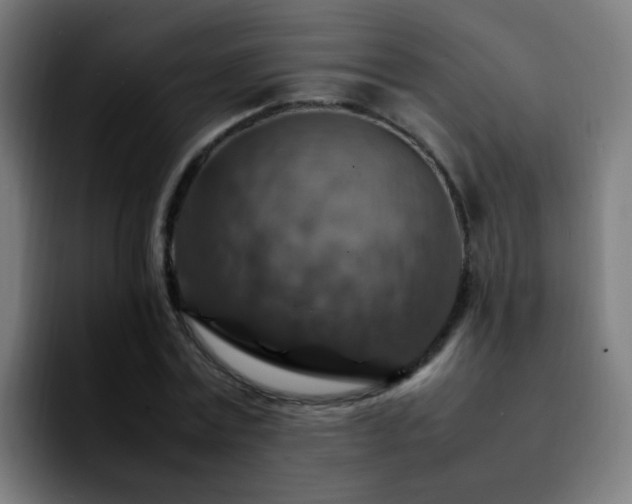 X0000092280779200709211155