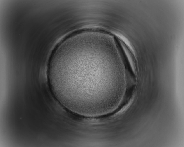 X0000092280783200709211154