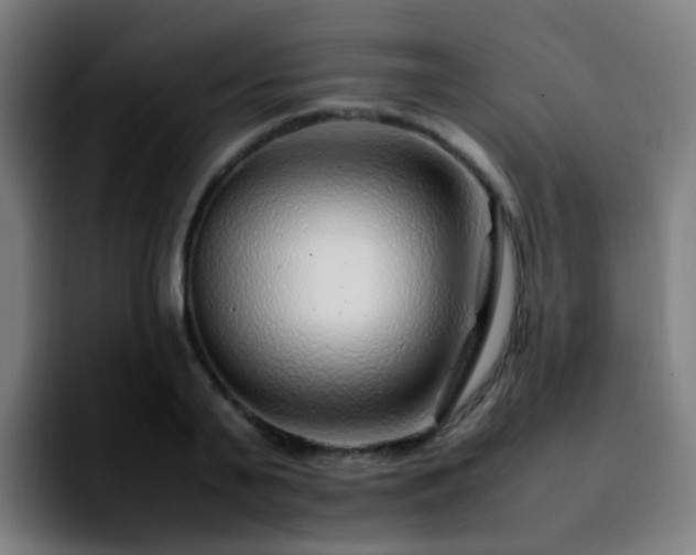 X0000092280791200709211154