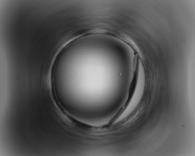 X0000092280795200709211154