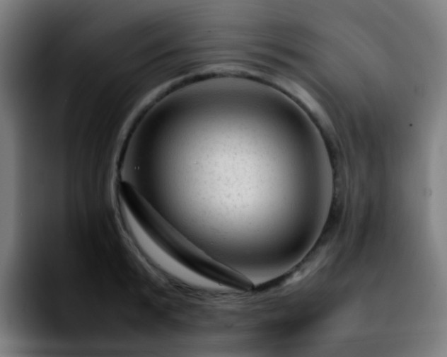 X0000092280799200709211154