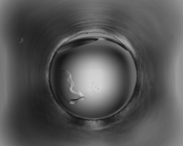 X0000092280805200709211154