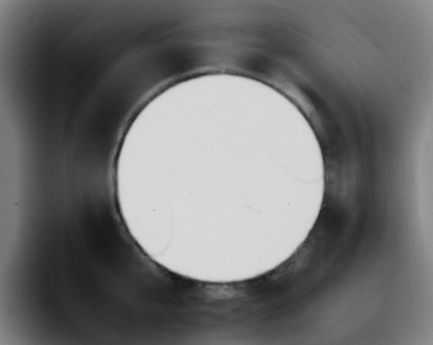 X0000092280807200709211154