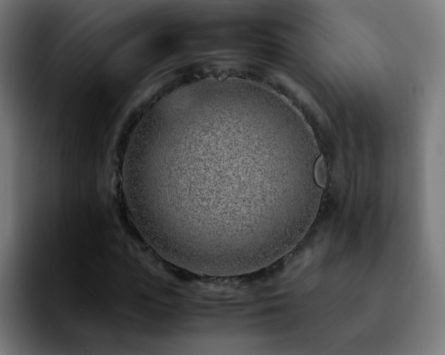 X0000092280823200709211154