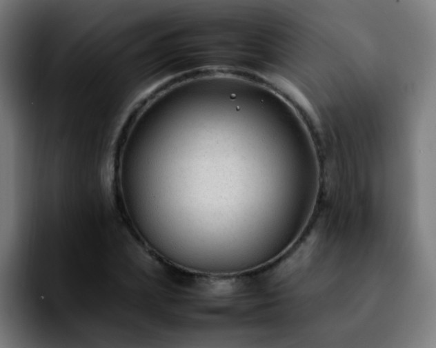 X0000092280831200709211154