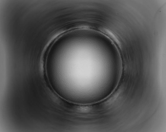 X0000092280835200709211154