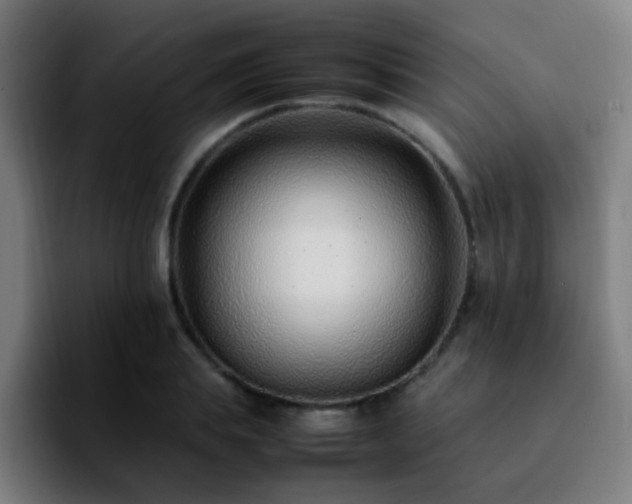 X0000092280839200709211154