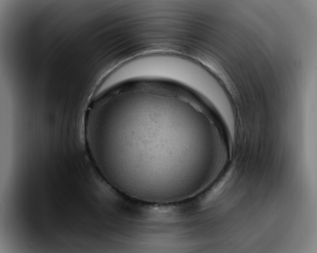 X0000092280842200709211154