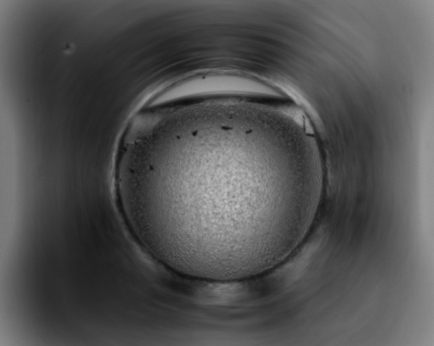 X0000092280845200709211154