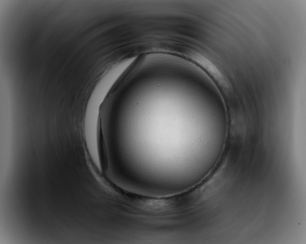 X0000092280849200709211154