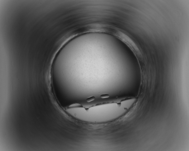 X0000092280852200709211154