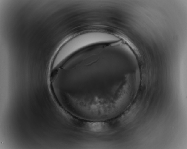 X0000092280853200709211154