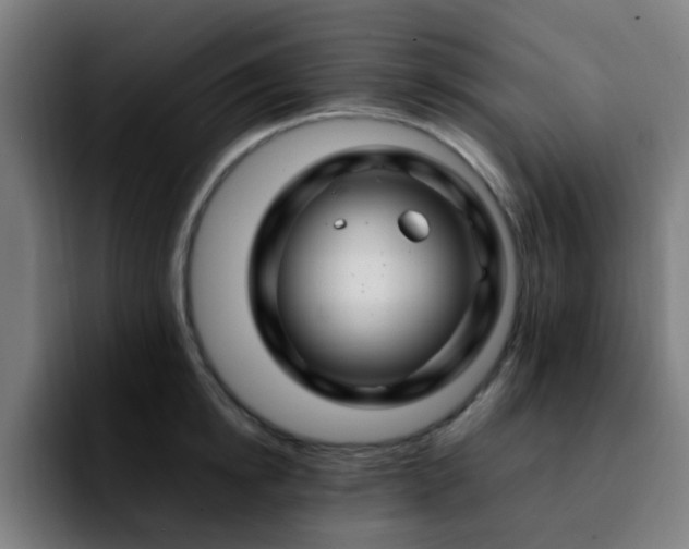 X0000092280854200709211154