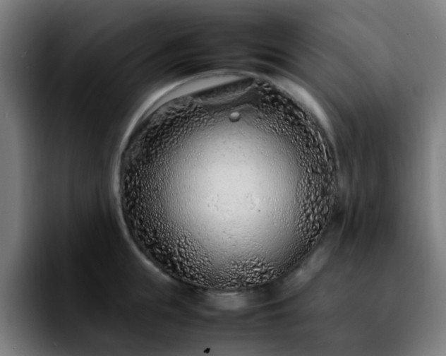 X0000092280855200709211154