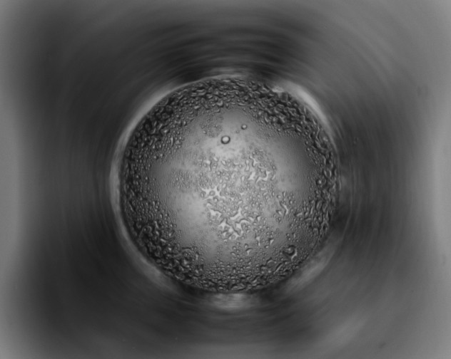 X0000092280859200709211154