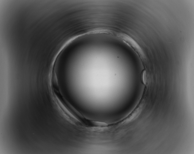 X0000092280860200709211154