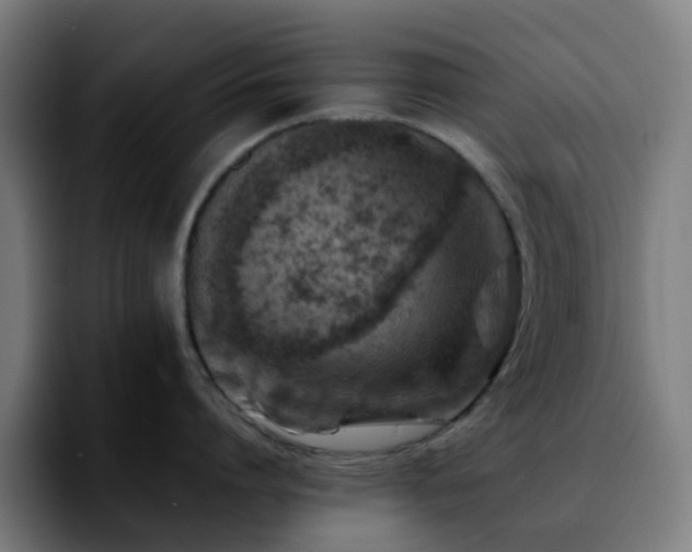 X0000092280864200709211154