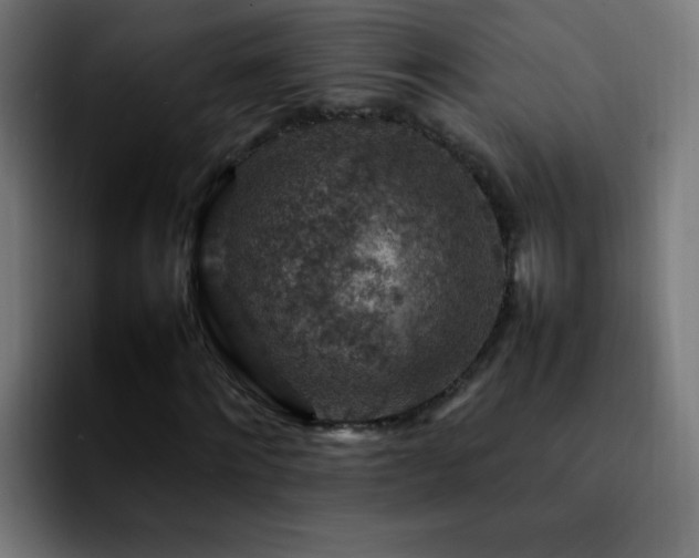 X0000092280868200709211153