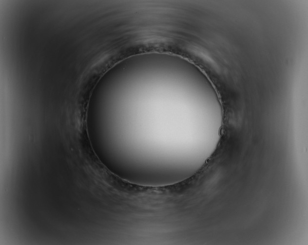 X0000092280869200709211153