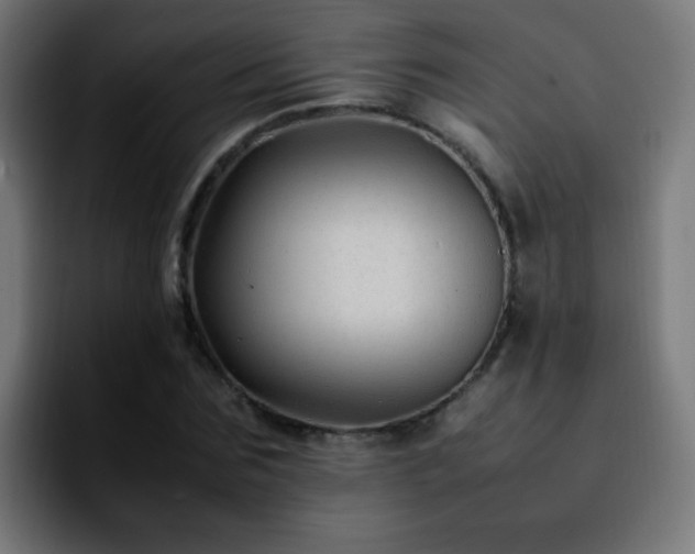 X0000092280875200709211153