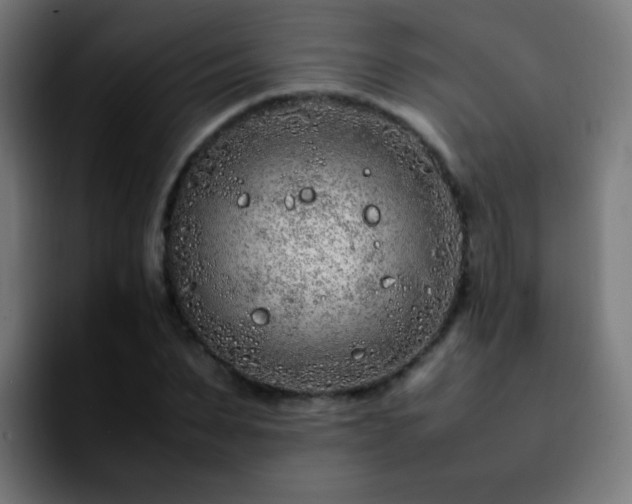 X0000092280879200709211153