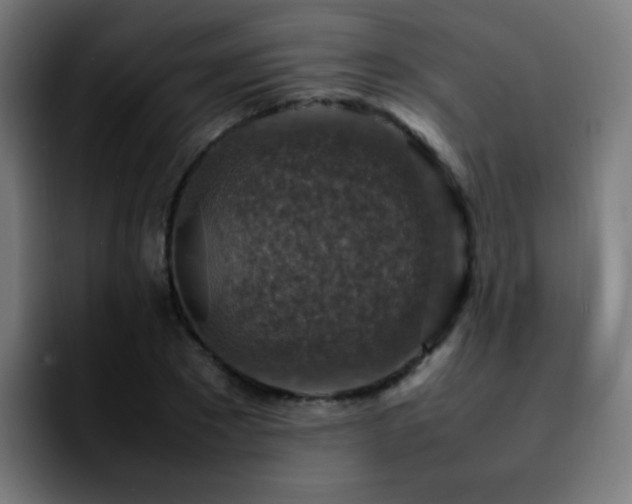 X0000092280881200709211153