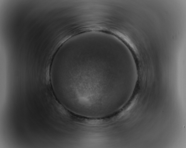 X0000092280889200709211153