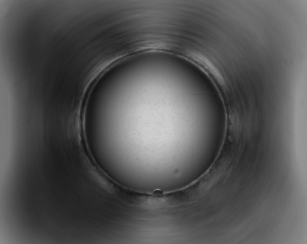 X0000092280890200709211153