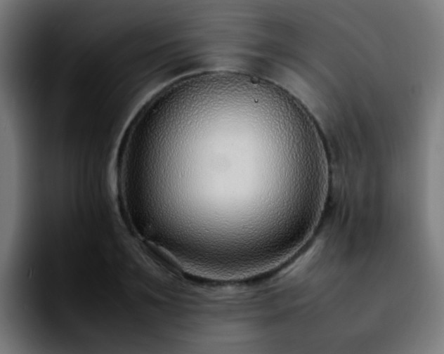 X0000092280891200709211153