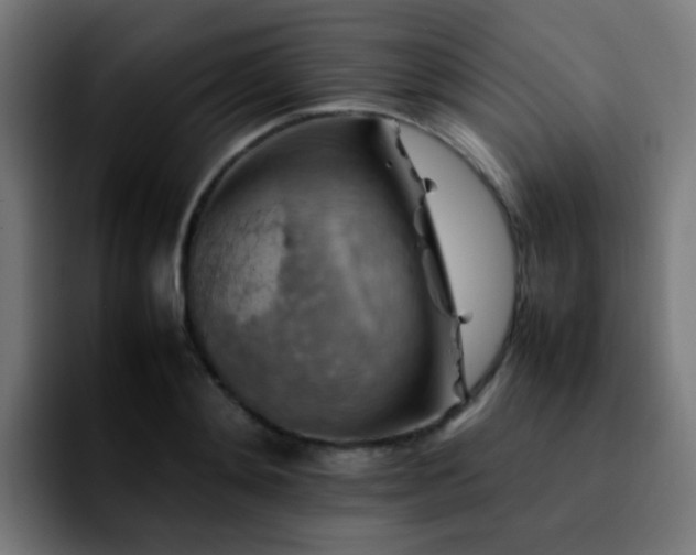 X0000092280892200709211153