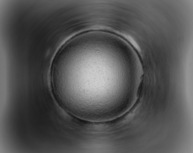 X0000092280895200709211153