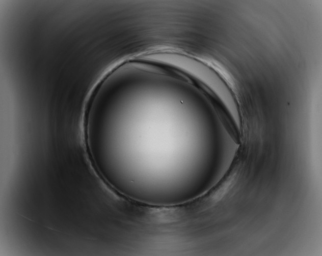 X0000092280902200709211153