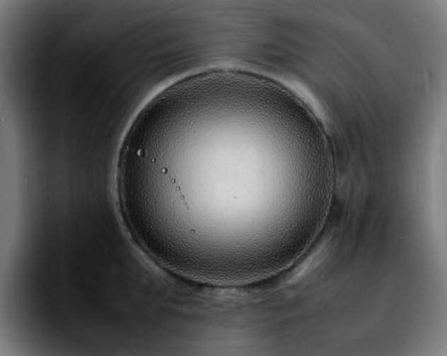 X0000092280903200709211153