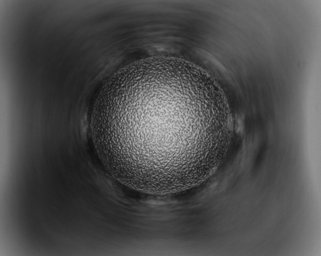 X0000092280915200709211152