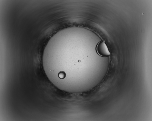 X0000092280918200709211152