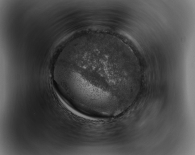 X0000092280919200709211152