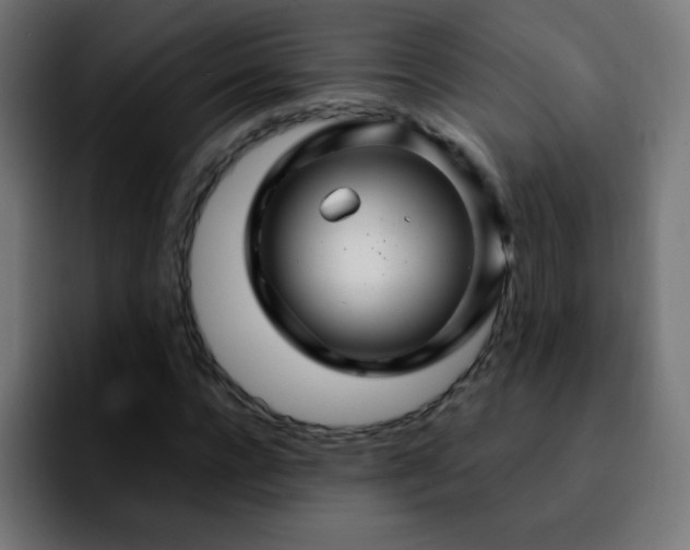 X0000092280920200709211152