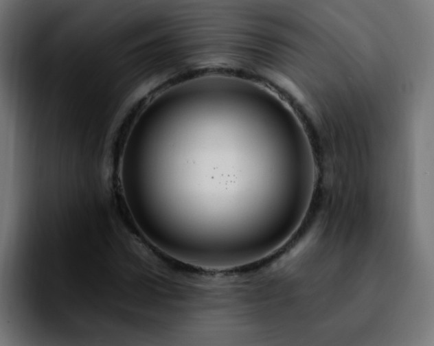 X0000092280922200709211153