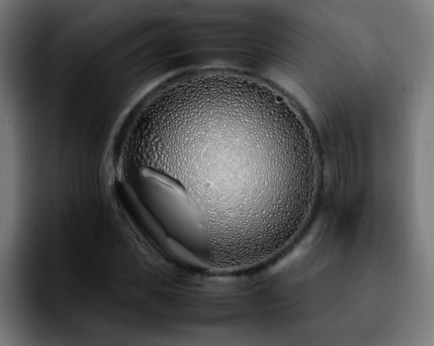 X0000092280925200709211153