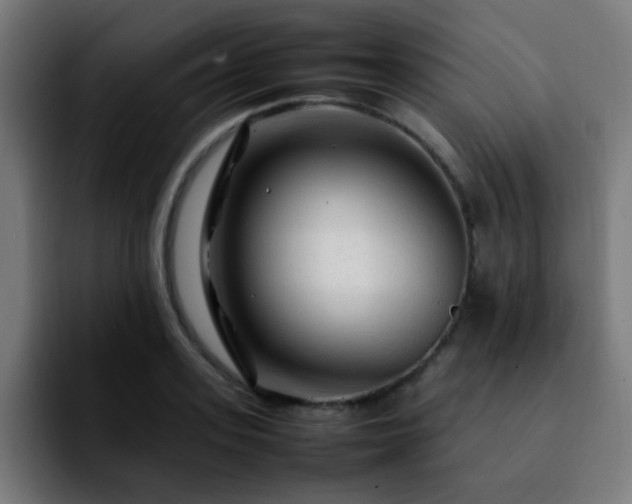 X0000092280939200709211153