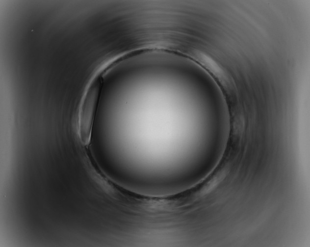 X0000092280940200709211153