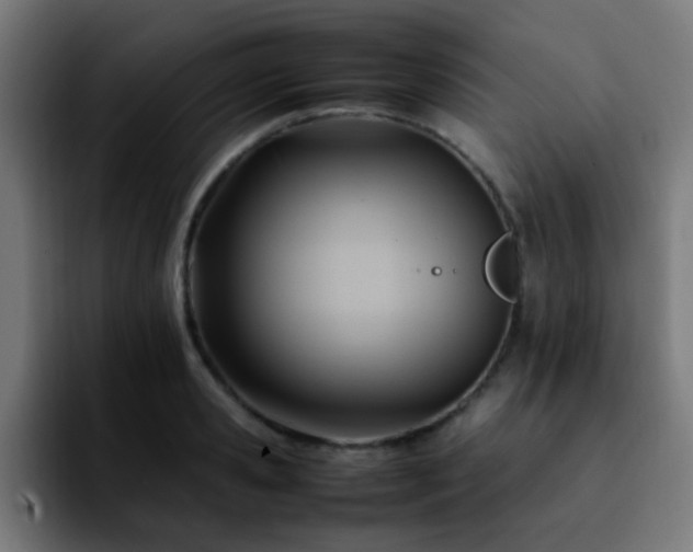 X0000092280941200709211153