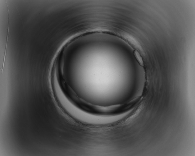 X0000092280942200709211153