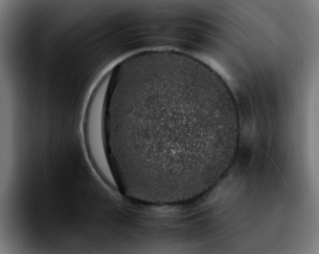 X0000092280943200709211153