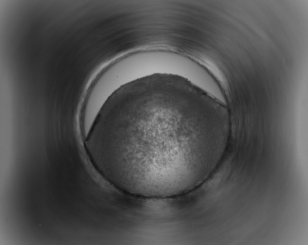 X0000092280944200709211153