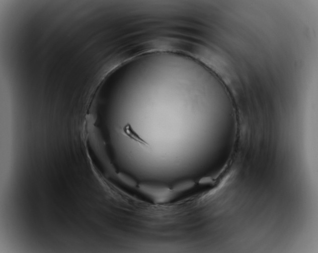 X0000092280945200709211153