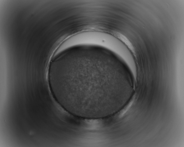 X0000092280946200709211153