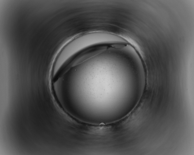 X0000092280949200709211153