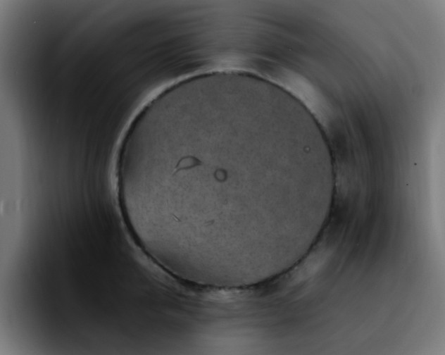 X0000092280950200709211153