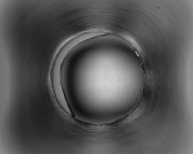 X0000092280952200709211153